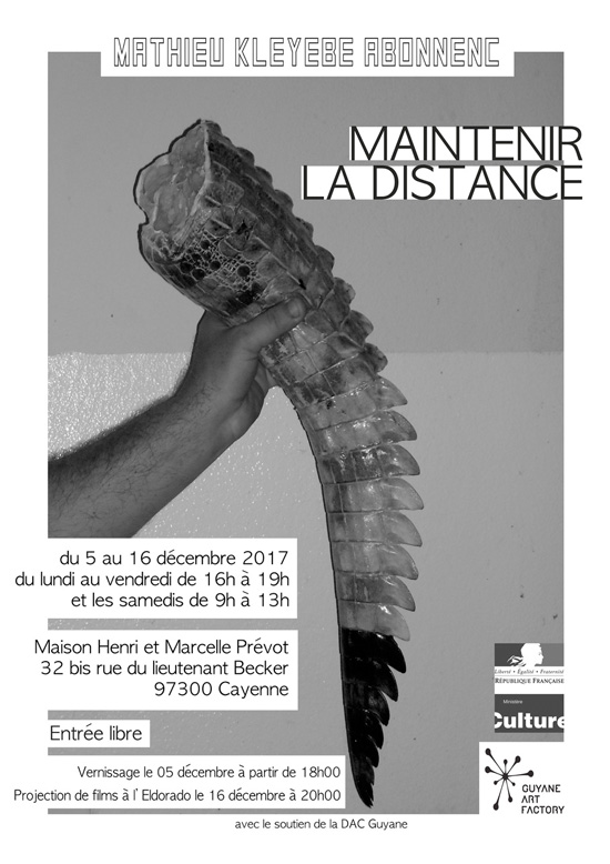 Exposition de l’artiste guyanais Mathieu Kleyebe Abonnenc
