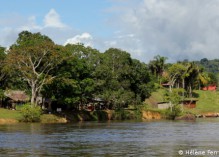 Où en est la « zone interdite » du Sud guyanais ?