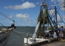 Sauvegarder la filière pêche guyanaise