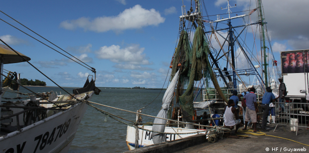 Sauvegarder la filière pêche guyanaise
