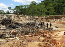 Trois Brésiliens jugés coupables de «complicité d’exploitation minière illégale en bande organisée portant atteinte à l’environnement» passeront les fêtes de fin d’année en liberté…