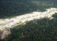 En Guyane, le gouvernement renforce la filière aurifère 