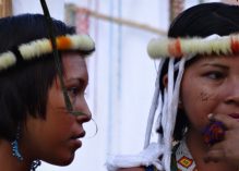 Les organisations autochtones fermement opposées à la Montagne d’Or