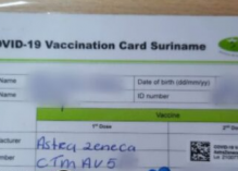 Un trafic de faux certificats de vaccination anti-Covid au Suriname : un infirmier, deux frères et une traductrice en langue française interpellés