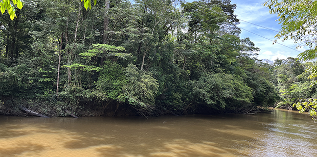 Orpaillage illégal sur le fleuve Kourou : la Compagnie des Guides de Guyane alerte le préfet