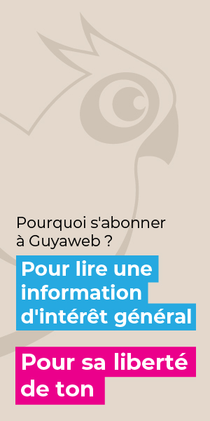 Publicité Guyaweb