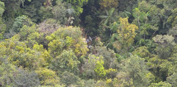 L’hélicoptère Bell 206 toujours dans la boue en forêt 8 jours après le crash, un hélitreuillage tardif fait courir le risque de perte de données pour l’enquête