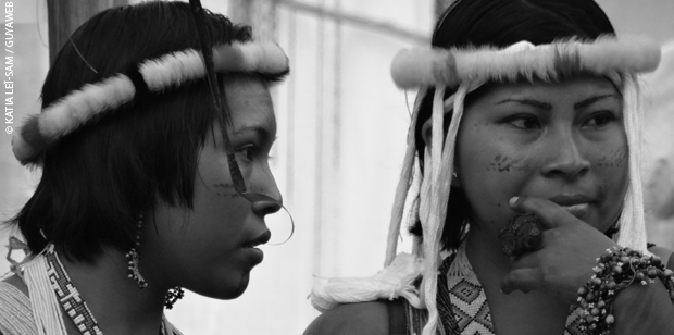 Droits des Amérindiens de Guyane : déjà 80000 signatures