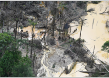 Un nombre de sites d’or illégaux toujours beaucoup trop élevé au sein du Parc amazonien de Guyane : 143 avec une hausse constante sur Papaïchton depuis 2 ans