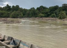 Lutte contre l’orpaillage illégal dans les aires protégées : quelles stratégies sur le Plateau des Guyanes ?