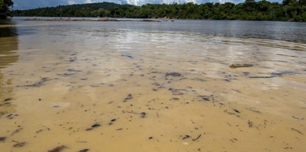 Mercure : sur le Haut-Maroni, des taux de contamination dix fois plus élevés que les seuils légaux fixés par les autorités sanitaires