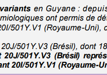 Deux soignants de Guyane infectés une seconde fois par le Covid-19, possiblement par le variant préoccupant brésilien de Manaus selon les autorités…
