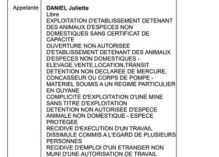 Affaire Juliette Daniel reportée pour vérifier une suspicion de « faux » du parquet dans le circuit d’appel