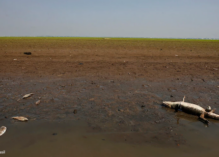 L’Amazonie confrontée à une sécheresse sans précédent