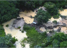145 : un nombre quasi-record de sites aurifères illégaux au sein du Parc amazonien, selon la dernière campagne de comptage en septembre