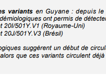 Covid-19 : 45 cas de variants préoccupants déjà détectés en Guyane, 18 cas de variant britannique, 27 cas du variant brésilien P1 de Manaus