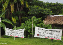 Dans l’Ouest de la Guyane, un village amérindien tient tête à un projet de centrale électrique