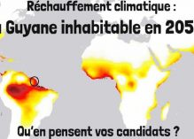 Bouleversement climatique et 6e extinction massive : en Guyane aussi « il faut agir tout de suite »