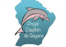 Café des Sciences sur le dauphin de Guyane