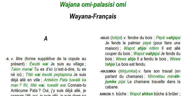 Extrait du dictionnaire wayana-français dirigé par Eliane Camargo et Tapinkili