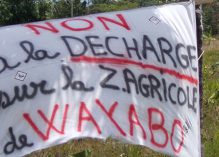Wayabo : enjeux autour du projet Séché, refusé par Ringuet