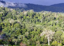 Déjà au moins 39 morts, plus 7 à 10 corps repérés en forêt, le nombre d’homicides en 2023 devrait être le plus important jamais atteint en Guyane