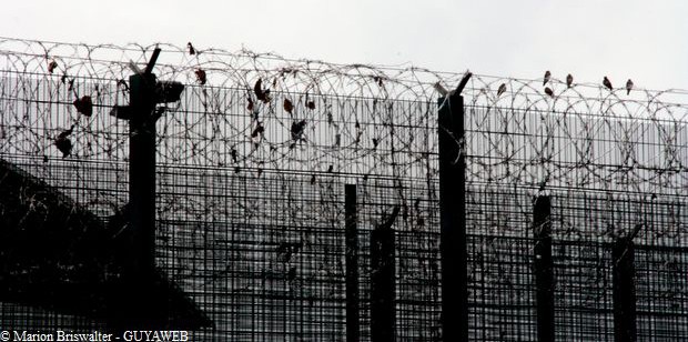 La politique carcérale à bout de souffle