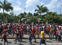Chlordécone: des milliers de manifestants en Martinique réclament un procès