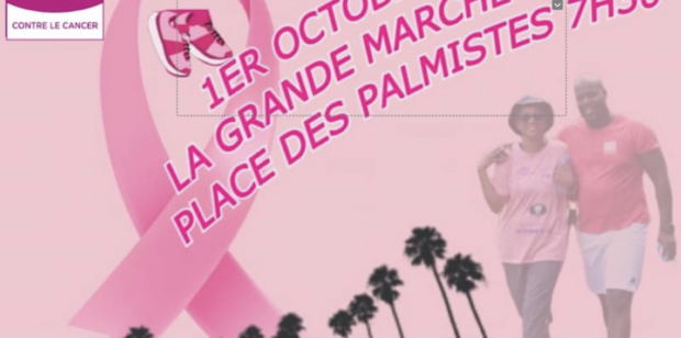 Une marche depuis les Palmistes pour lancer Octobre rose
