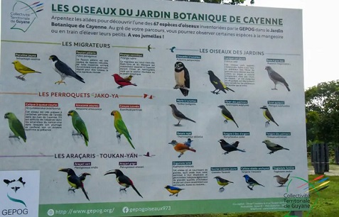 Oiseaux du jardin - botanic®