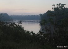 Un Pacte pour l’Amazonie