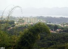 Martinique : “Il y a tellement de désespérance et de promesses non tenues”