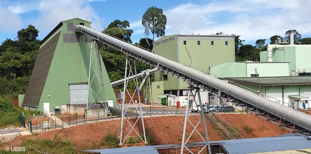 Biomasse : la filière guyanaise obtient une importante dérogation pour son approvisionnement