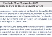 21 personnes suspectées dans un trafic de cocaïne entre la Guyane et Le Mans, 15 prévenu(e)s, pour la plupart Guyanais, dont 13 en détention face aux juges : fournisseurs, commanditaires, convoyeurs et revendeurs…