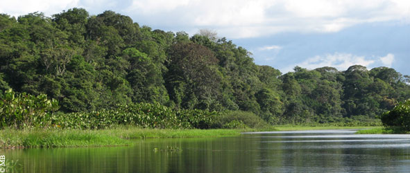 Nouvel audit salé contre le Parc naturel régional de Guyane